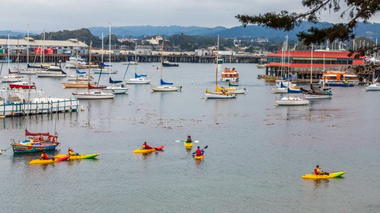 Kayakers peacefully paddling amidst the sailboats that grace the waters of Monterey Bay.